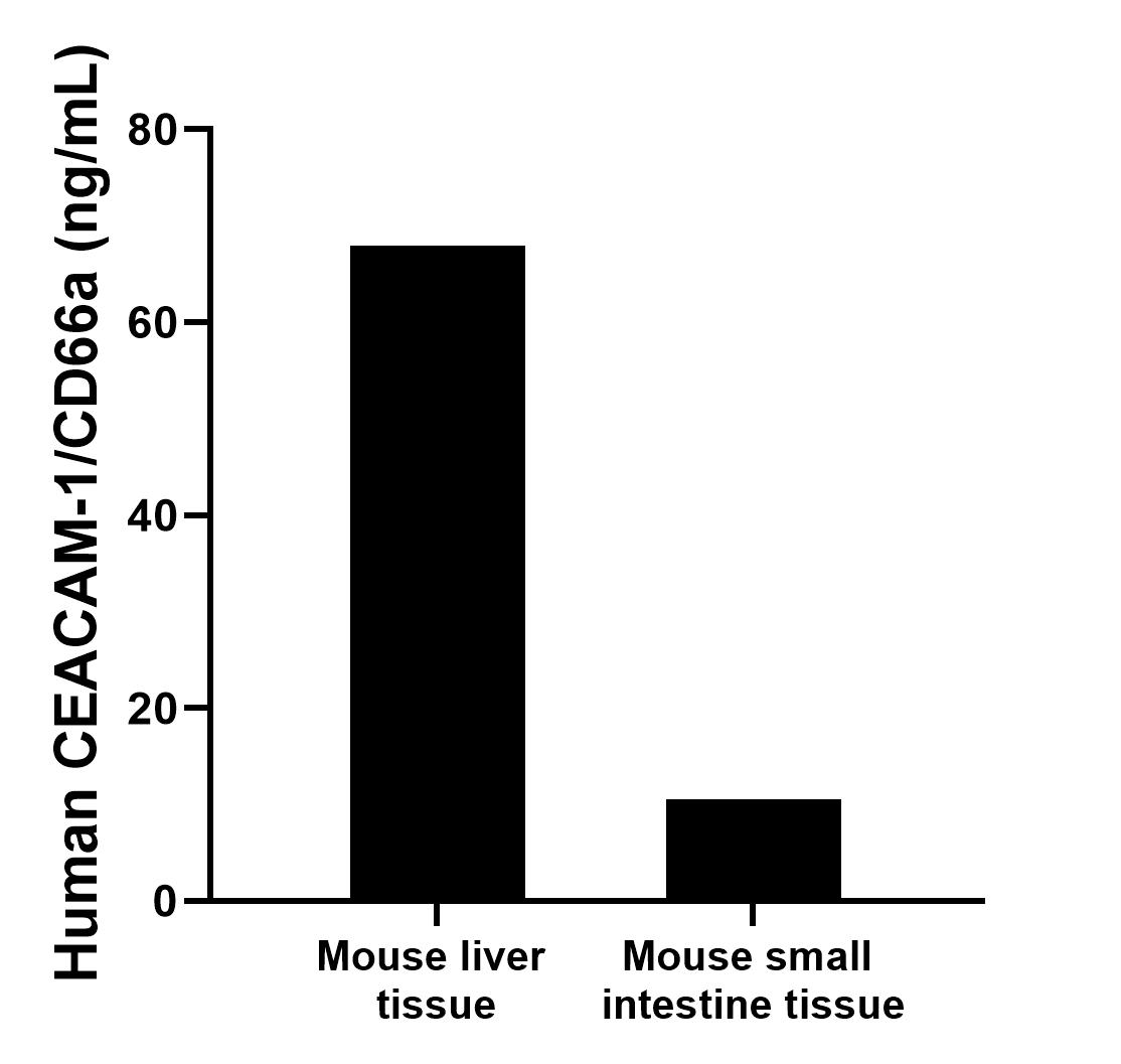 The mean CEACAM-1/CD66a concentration was determined to be 67.98 ng/mL in mouse liver tissue extract based on a 3.7 mg/mL extract load and 10.51 ng/mL in mouse small intestine tissue extract based on a 1.6 mg/mL extract load.	